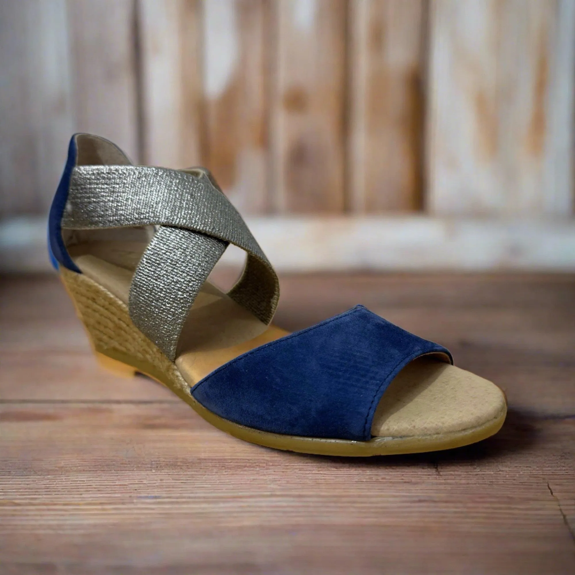 Pinaz 416/5 Ocean Platinum Elasticated Espadrille Wedges