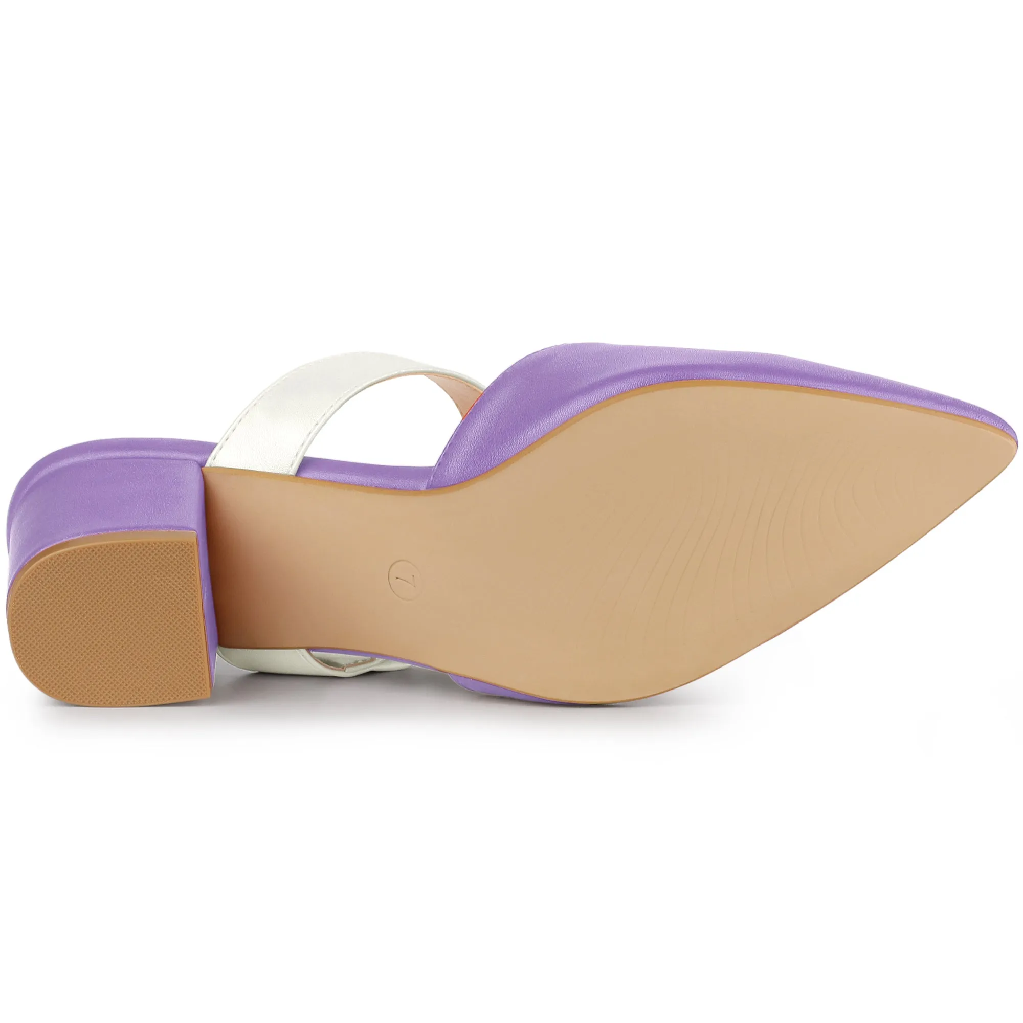 Pointed Toe Chunky Heel Dress Mules Pumps